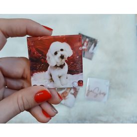 Egyedi fényképes mágnes (9 db)